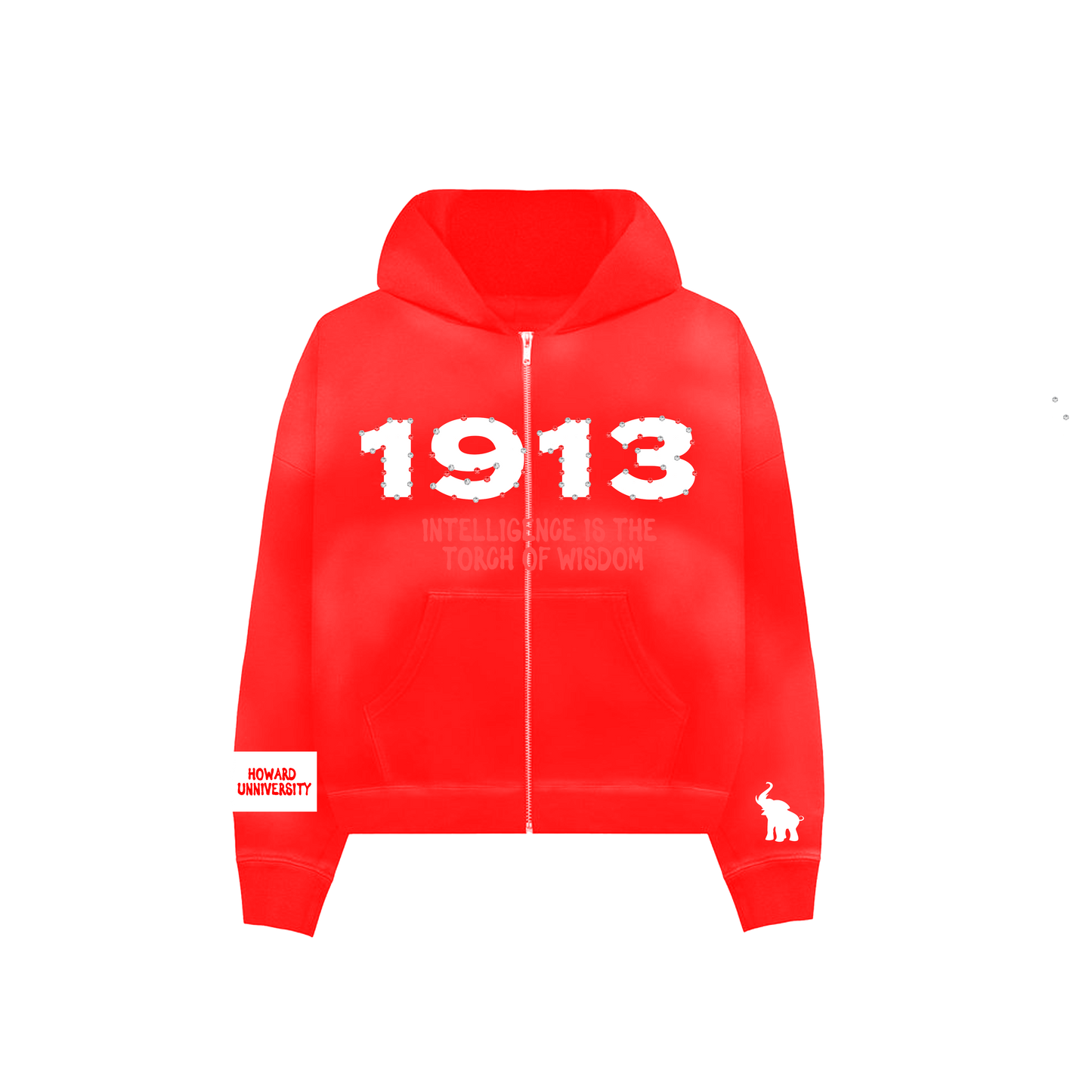 1913 RHINESTONE HOODIE